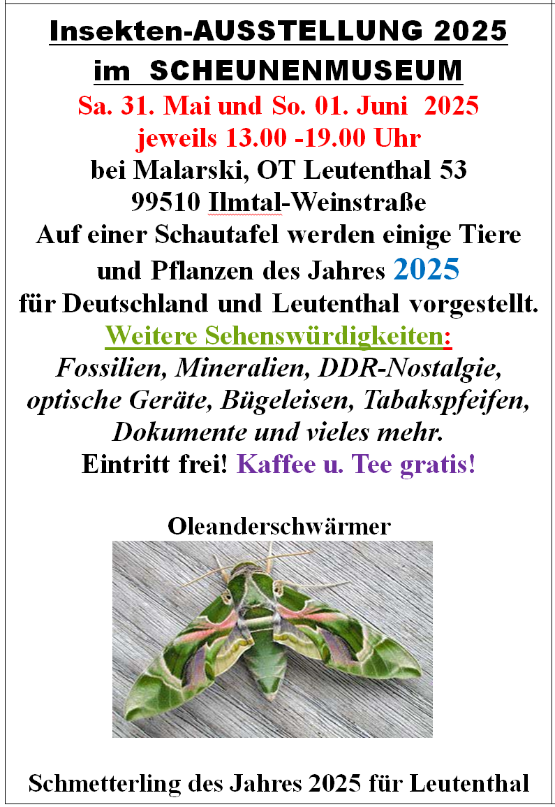 Einladung Insektenausstellung 2025